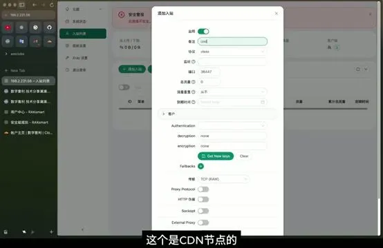 VPS 面板节点配置界面