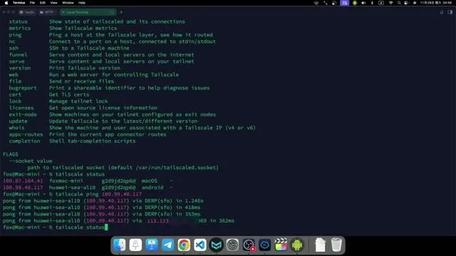 Tailscale status 显示直连状态